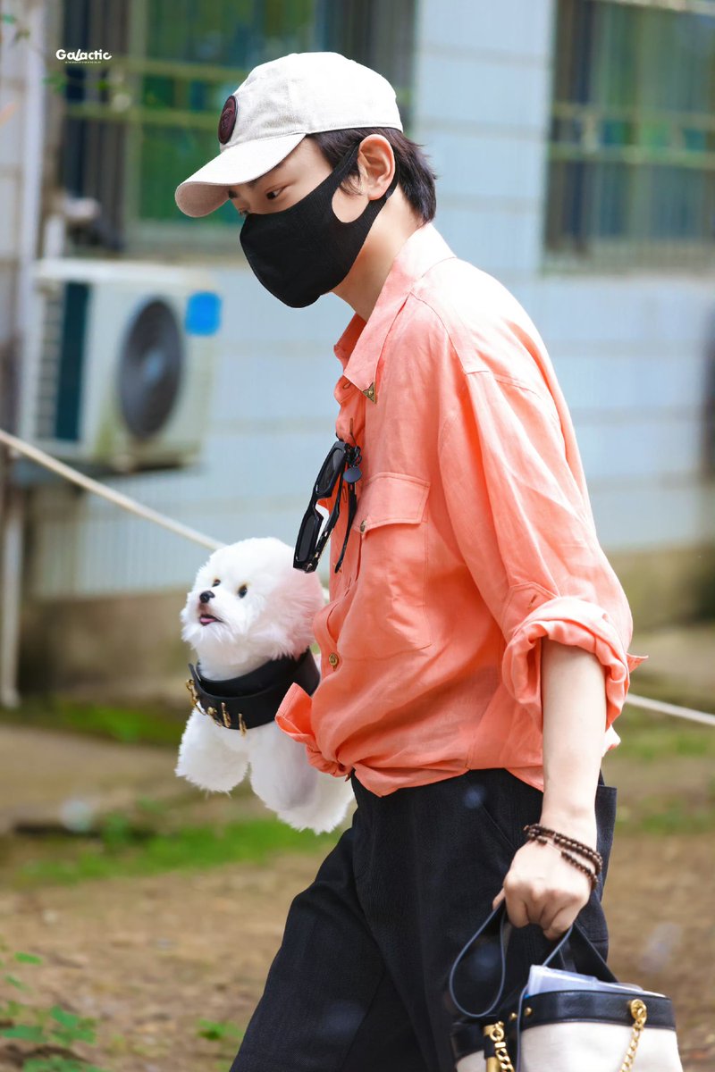 dingyuxiryan's tweet photo. 260520 정우혜 사궁령 출근

강아지 데려온 거 개뿜 오빠 집에서 샤오치 일레븐 샤오후이가 기다리고 있는데... 우얼링 기념 퍼포먼스인가 우얼링 기념 퍼포먼스로 강아지 인형 데려오는 남자 뭐임 https://t.co/qIw4e8OvTE