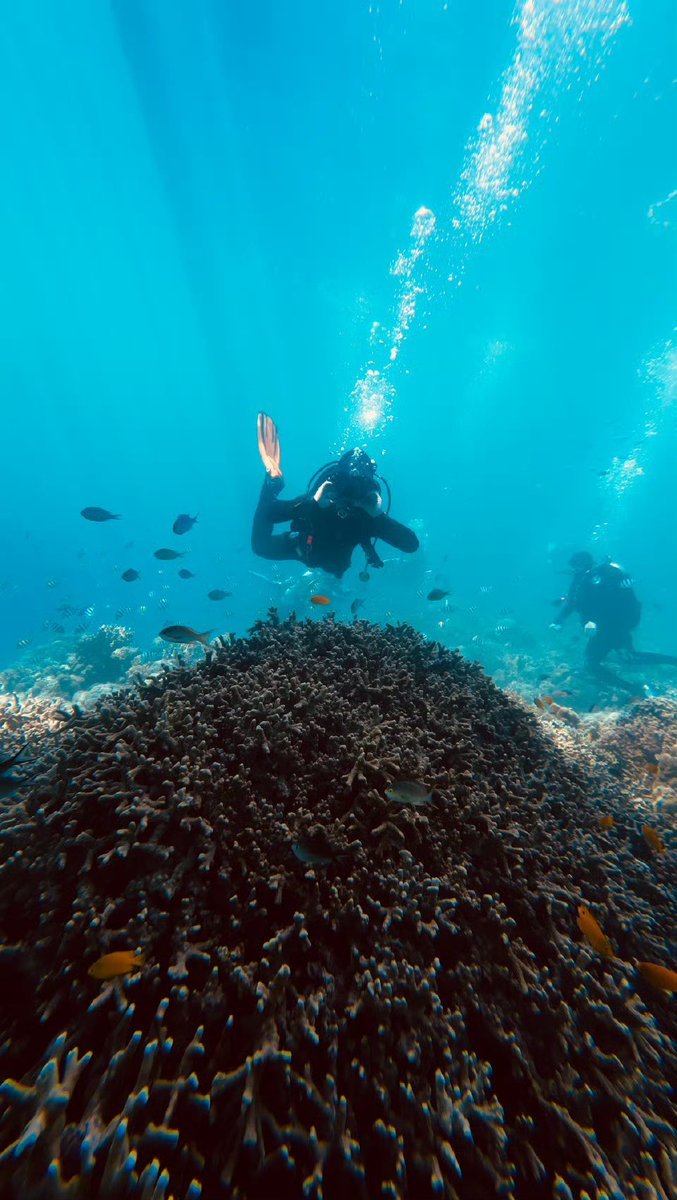 ainturcrush's tweet photo. kadang di langit, kadang di laut. https://t.co/OgiSJdXHTm