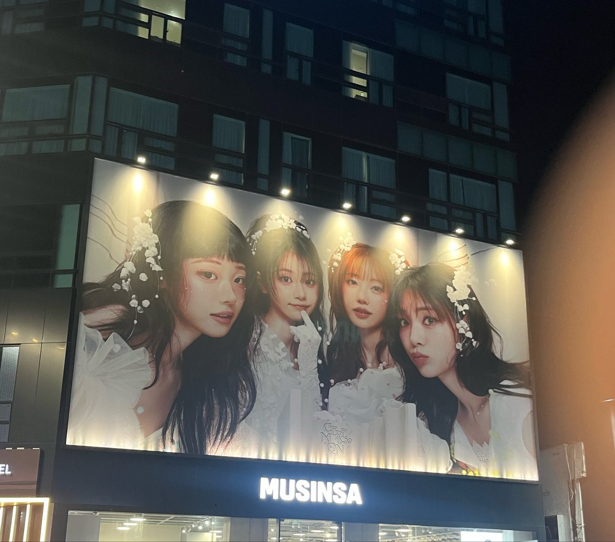 백멍이 tweet media