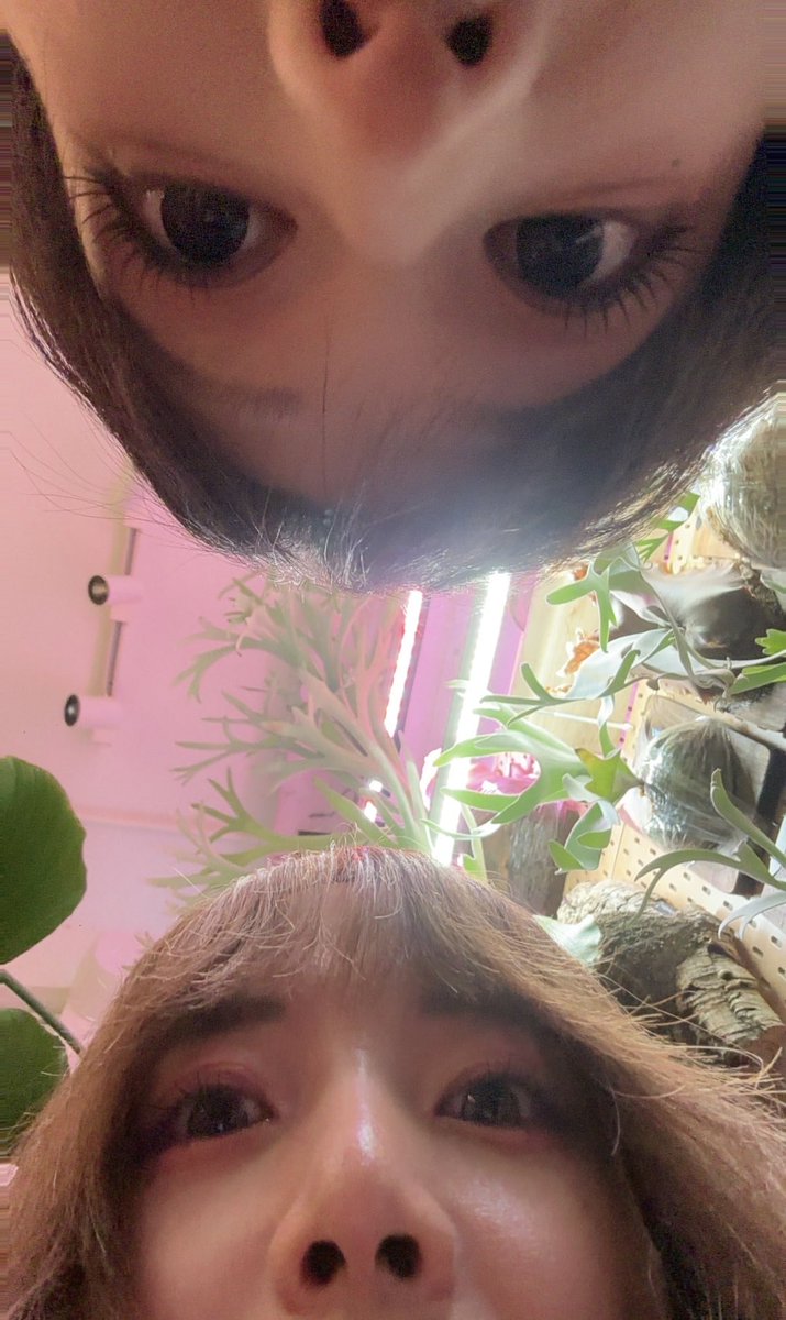 Shay酱🧚‍♀️ tweet media
