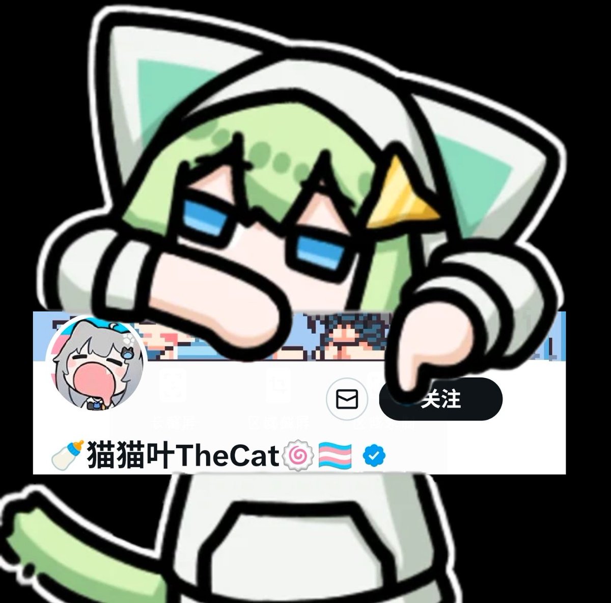 🍼猫猫叶TheCat🍥🏳️⚧️ tweet media