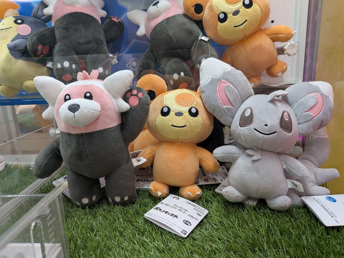 プライズ入荷情報】 ポケットモンスター ぬいぐるみ 〜ヒメグマ