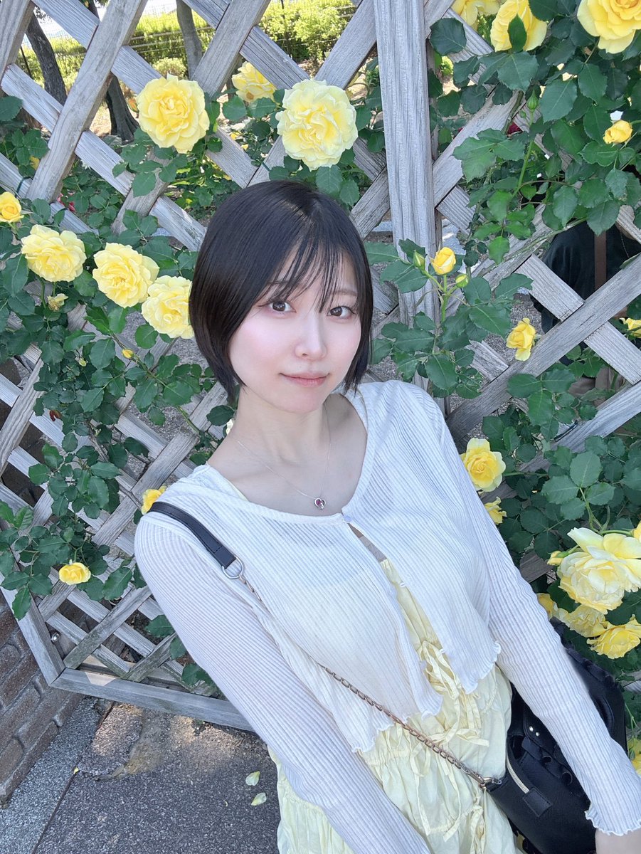 ぬこぱんち🐔 tweet media
