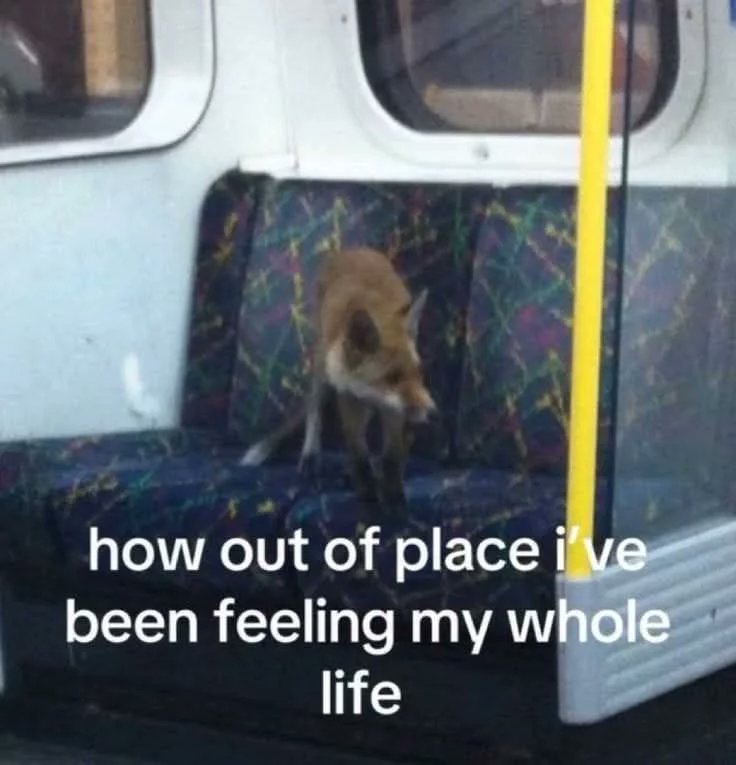 caninepoetry_'s tweet photo. https://t.co/EXWSajmqfE
