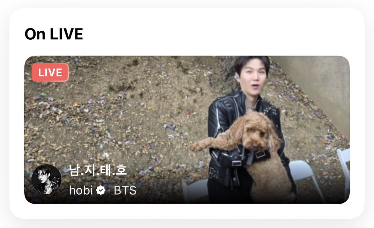 팡 tweet media