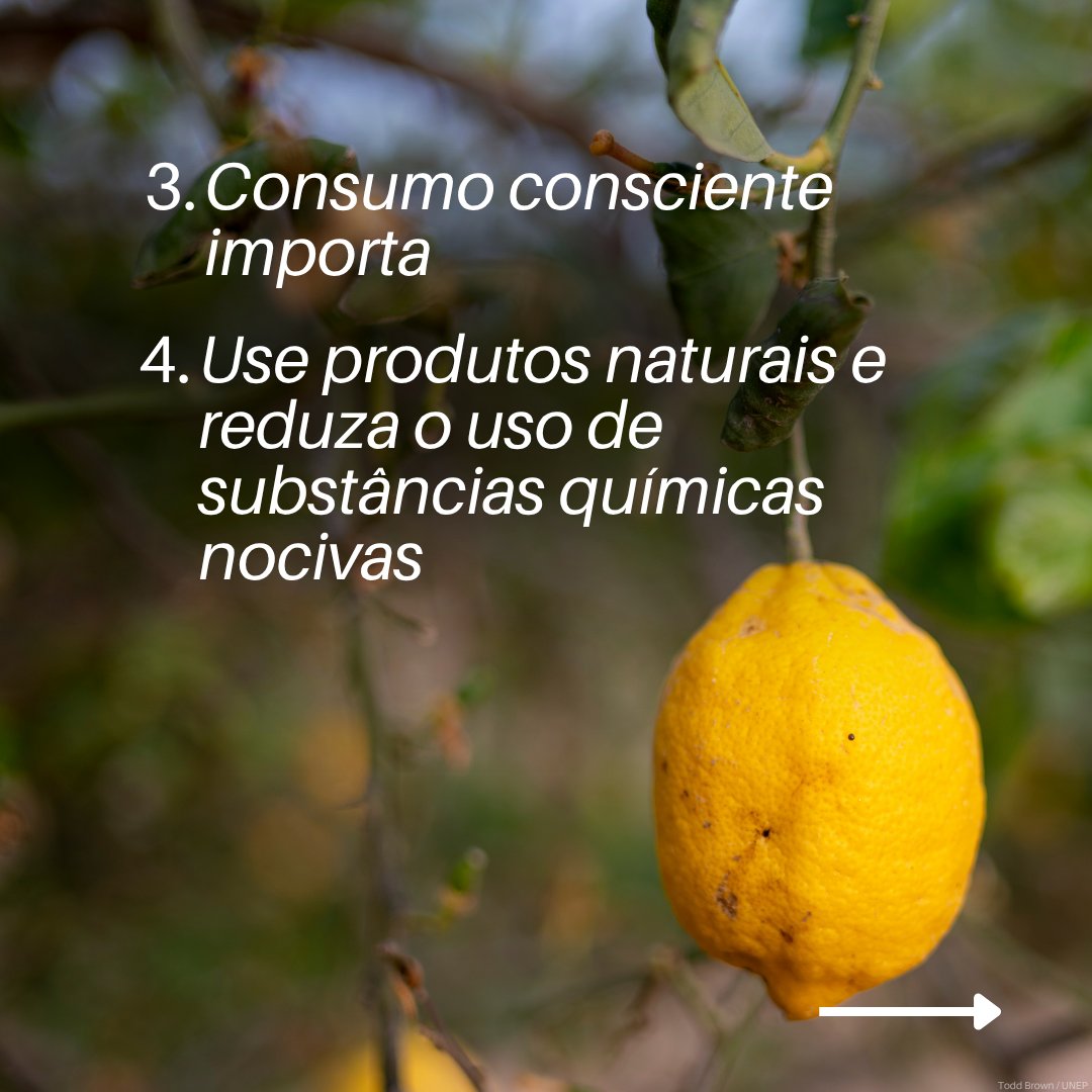 UNEP_pt's tweet photo. 🌱 A mudança começa onde você está.
Em todo o mundo, as comunidades já estão agindo para proteger a biodiversidade.
Neste #DiaDaBiodiversidade, junte-se a elas e ajude a transformar os esforços locais em impacto global.
#DiaDaBiodiversidade #AçãoLocal #PelaNatureza https://t.co/GFrjyu1lHf