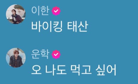 우사 tweet media