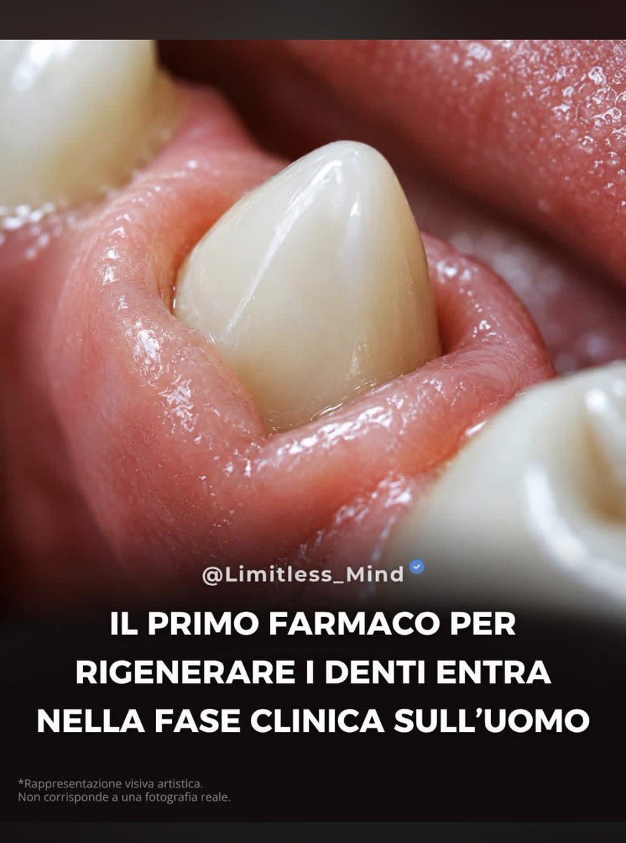 Sole ☀️ tweet media