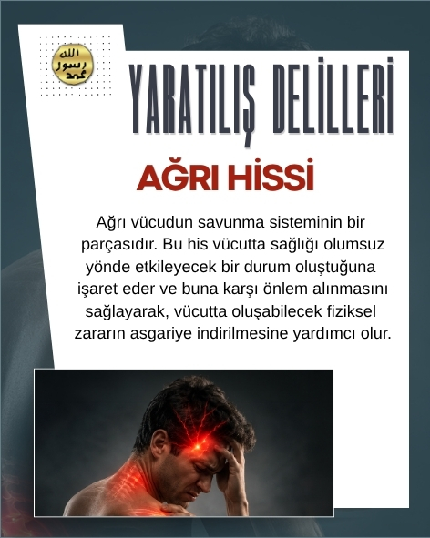 Harun Yahya tweet media