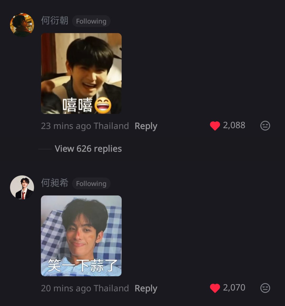 แมวส้มจิ 🧡💛 tweet media