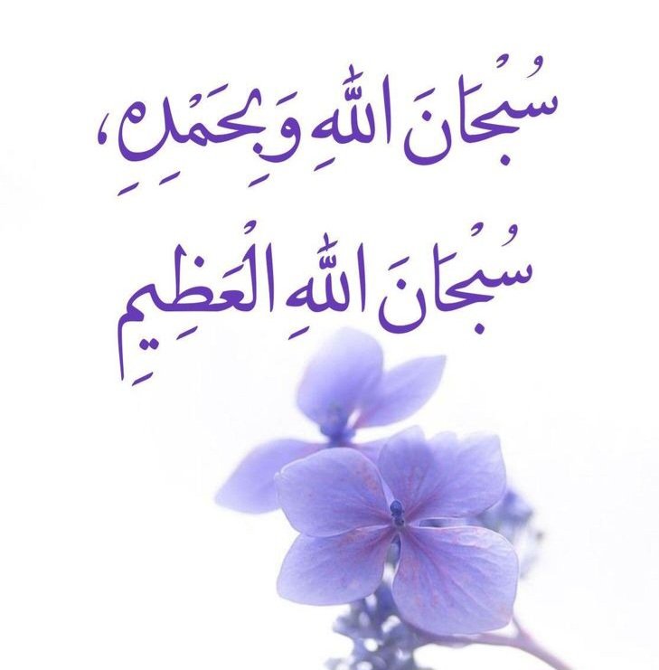 fatima ibrahim tweet media