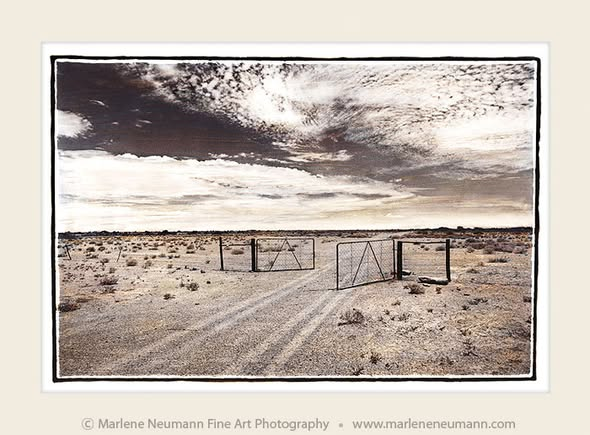 marleneneumann's tweet photo. I’m excited to share that three of my works — Conversation, Sacred Ibis and Journey Home — have recently been chosen as gifts.
Two pieces are heading overseas and Journey Home was chosen to celebrate a milestone birthday.

#thevoiceofnature #gratitude #photography  #SouthAfrica https://t.co/uRYcagL9T0