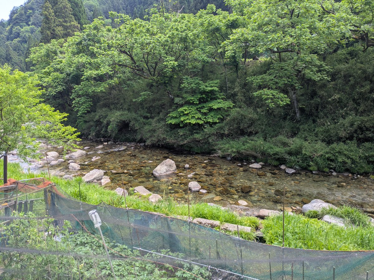 けい tweet media