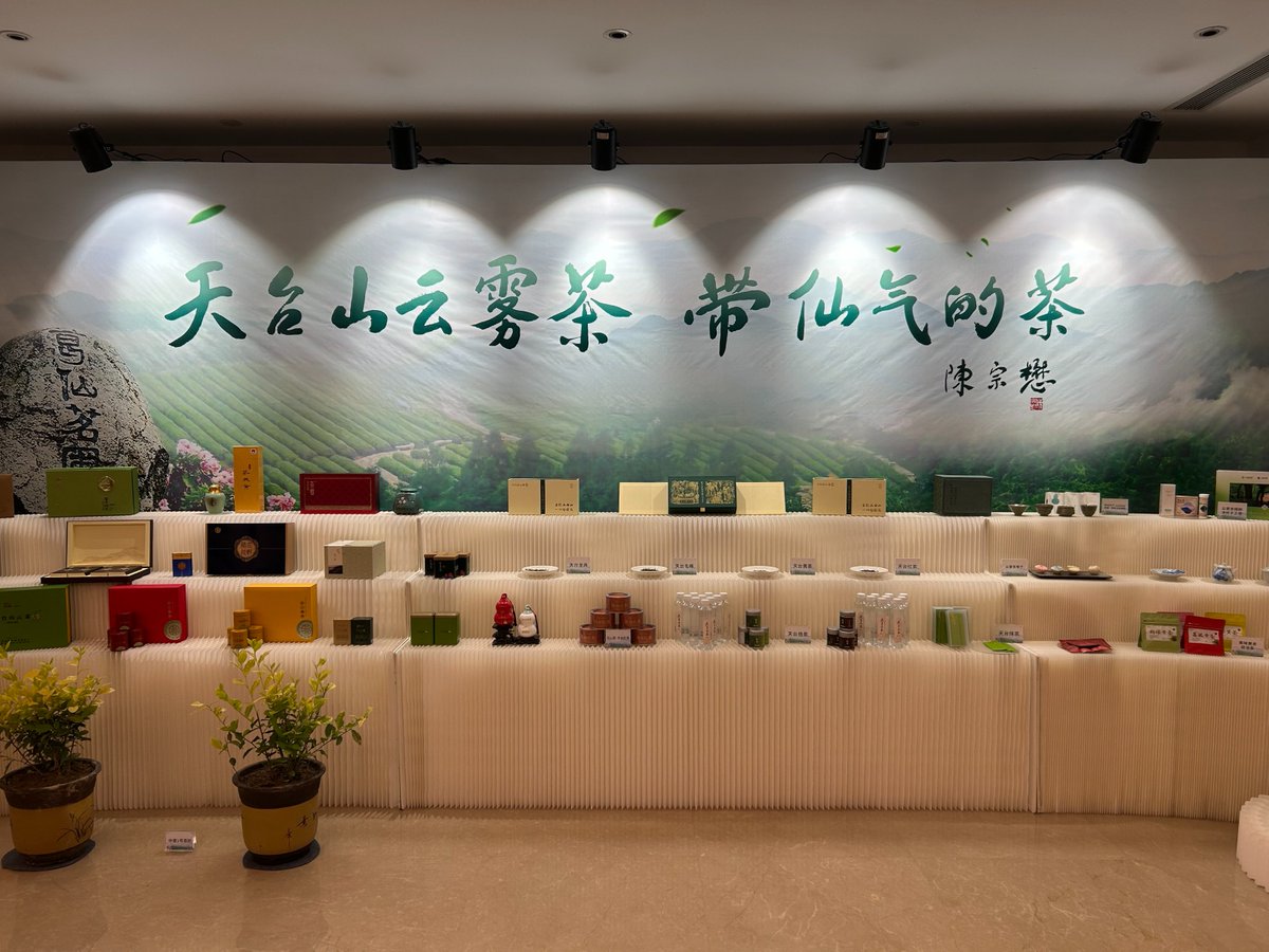 zhu_alice50849's tweet photo. A new chapter in tea culture 📖: Tiantai County donates “Gexian Mingpu 33 Ancient Tree Tea” 🍵 to tea research institutes. Precious tea germplasm will aid scientific research &amp; quality evaluation ✨
 #TeaCulture #AncientTreeTea #TiantaiTea #TeaScience #TeaResearch #CloudTea https://t.co/3zUtQfMue2