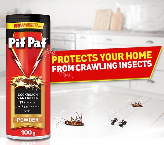 Knight_riders18's tweet photo. Every Cockroach Needs Only Pif Paf 

Protect Your Home And Country From Cockroaches...

The Cockroach Janta Party Is a Digital Cockroach which needs a instant Pif Paf https://t.co/ZK7NZmJ8Ha