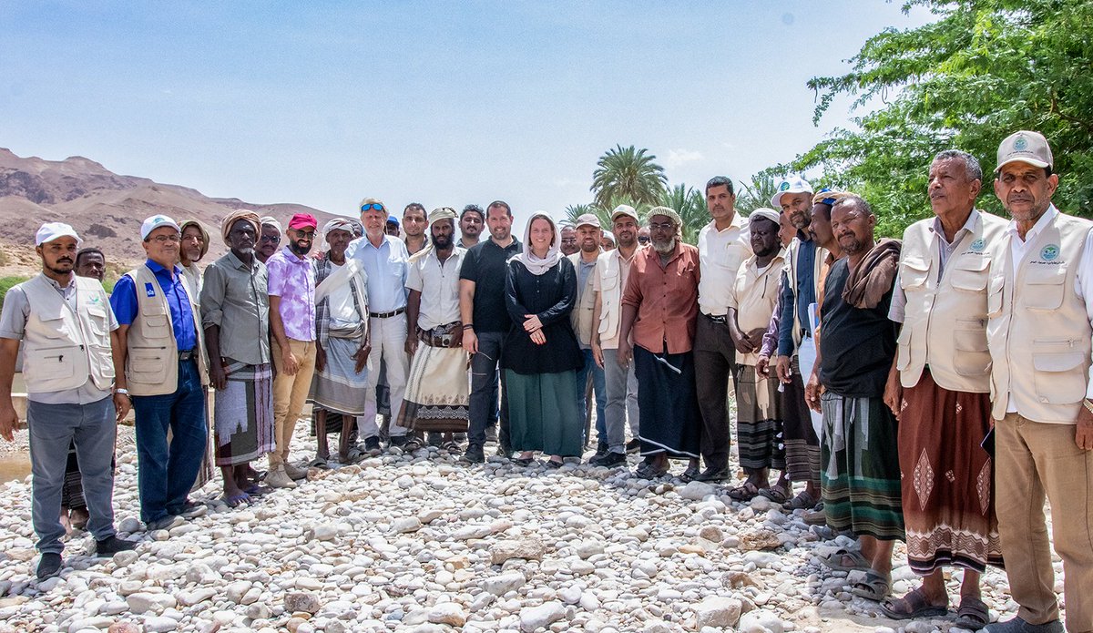 FAO in Yemen tweet media