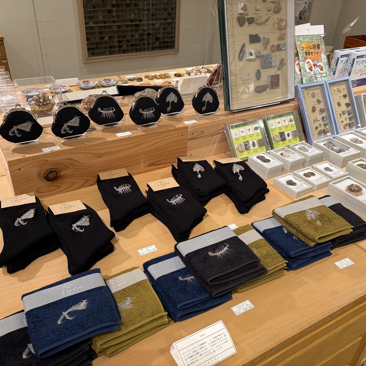 usaginonedoko_t's tweet photo. 【時空旅行標本店　開催のお知らせ】本日より、ウサギノネドコ東京店にて、「時空旅行標本店」を開催いたします。店内を巡りながら壮大な時間に思いを馳せてみませんか？詳細はこちら→ https://t.co/ym3BLCofop https://t.co/47o3RvqCpo