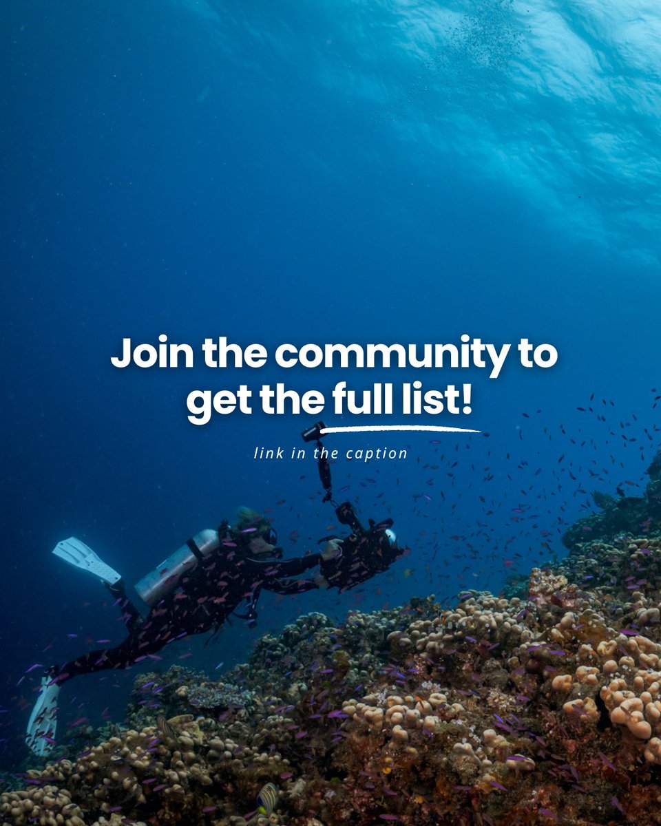 PADI tweet media