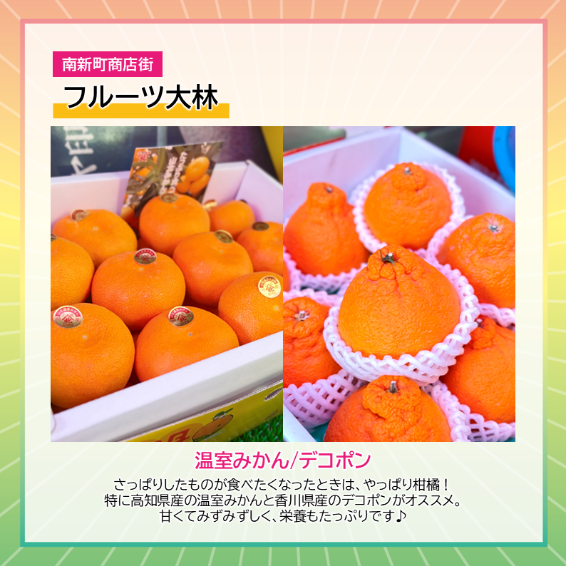 takpj3's tweet photo. フルーツ大林(南新町)の #HappySpring
✿温室みかん/デコポン
さっぱりしたものが食べたくなったときは、やっぱり柑橘!特に高知県産の温室みかんと香川県産のデコポンがオススメ。甘くてみずみずしく、栄養もたっぷりです♪ https://t.co/YM0FJy64i9
