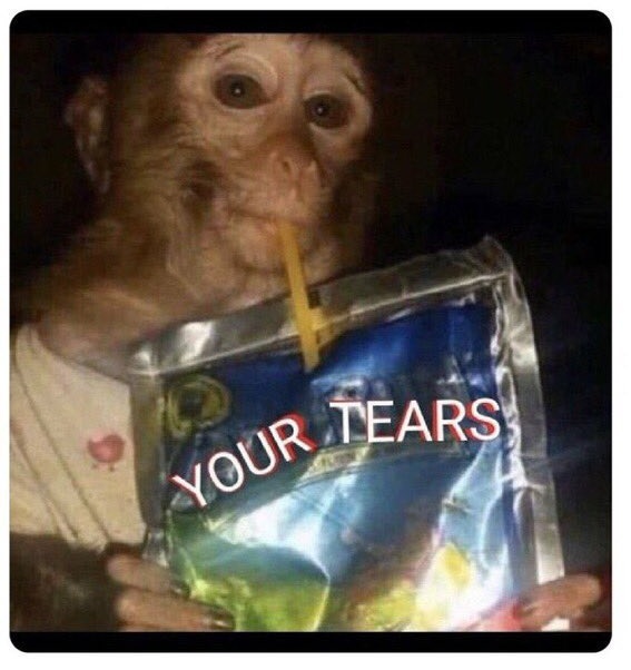 Masego tweet media