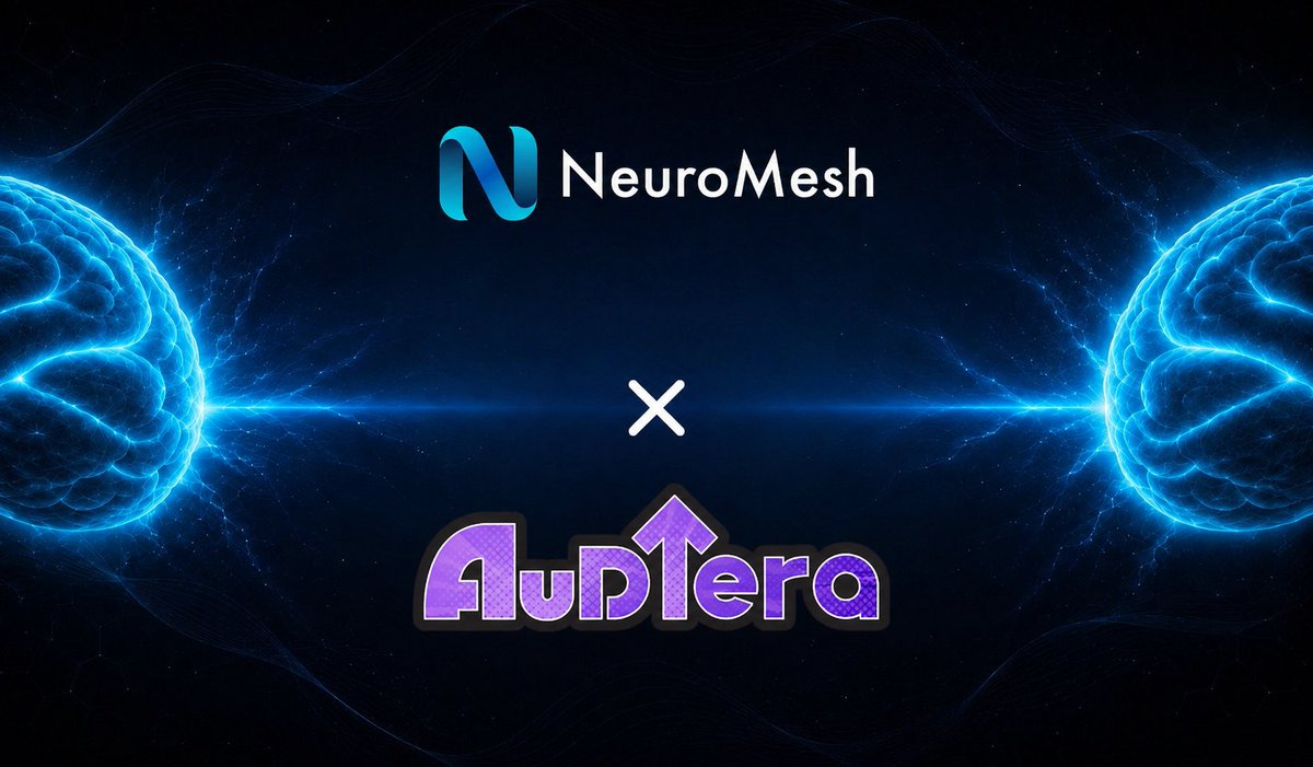 NeuroMesh tweet media