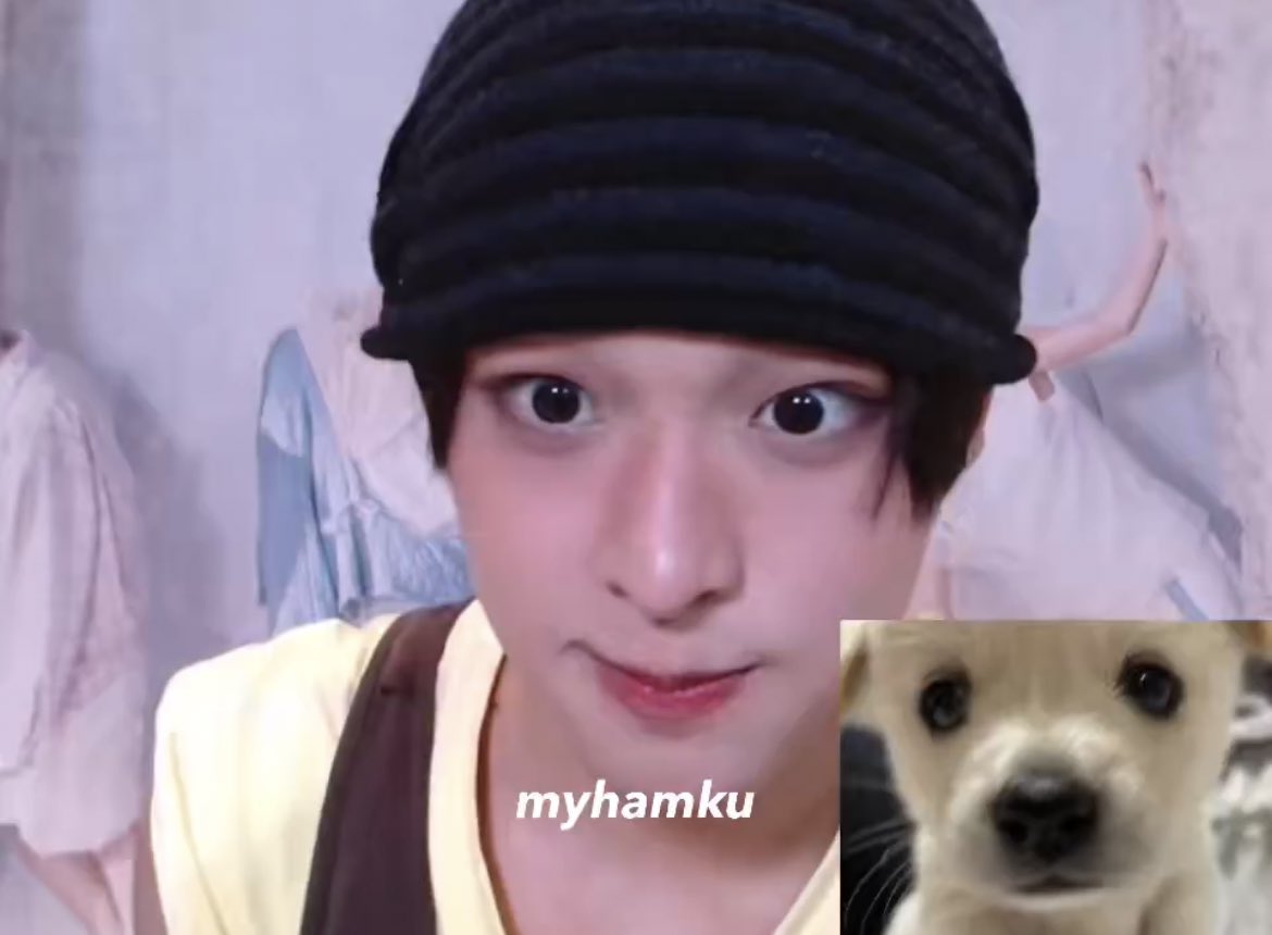 뽀 tweet media