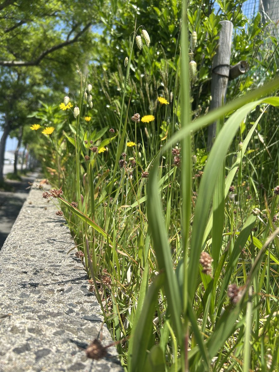 maybe_lucky02's tweet photo. 生きてるよん https://t.co/RX1KFDgfJy