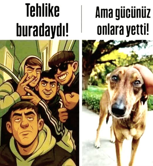 Temel Demirer tweet media