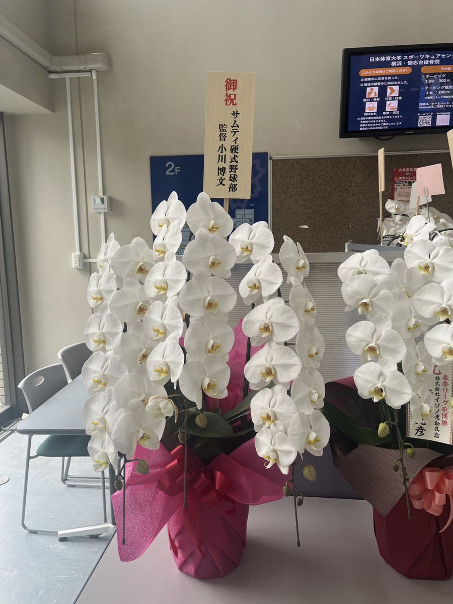 ntblabo's tweet photo. 【2026年度春季リーグ戦 優勝の祝花🌸】

下記の皆様より祝花を頂きました！
ありがとうございます！！

サムティ硬式野球部
監督　小川 博文 様

株式会社イソノ運動具店
代表取締役社長　須山 克彦 様 https://t.co/eAPSwYOHHj