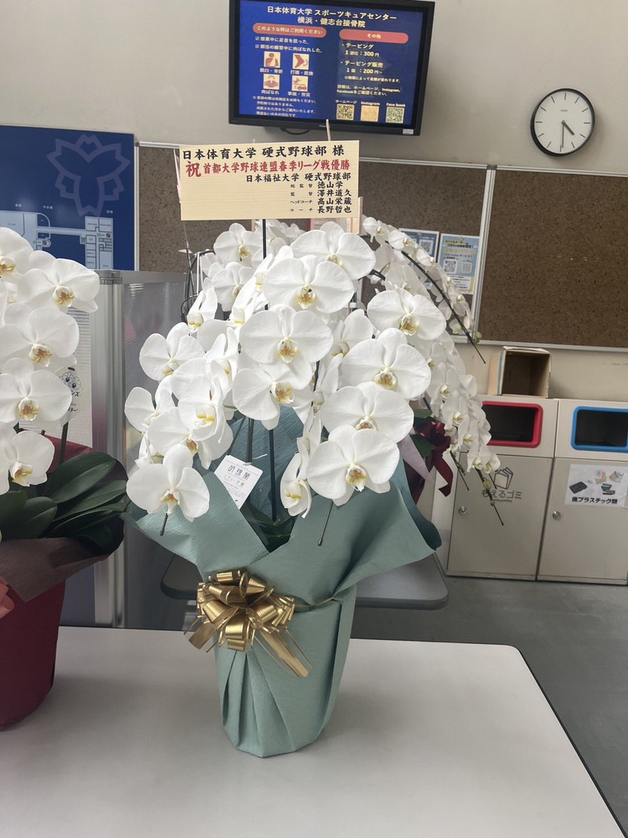 日本体育大学硬式野球部 (@ntblabo) / Posts / X
