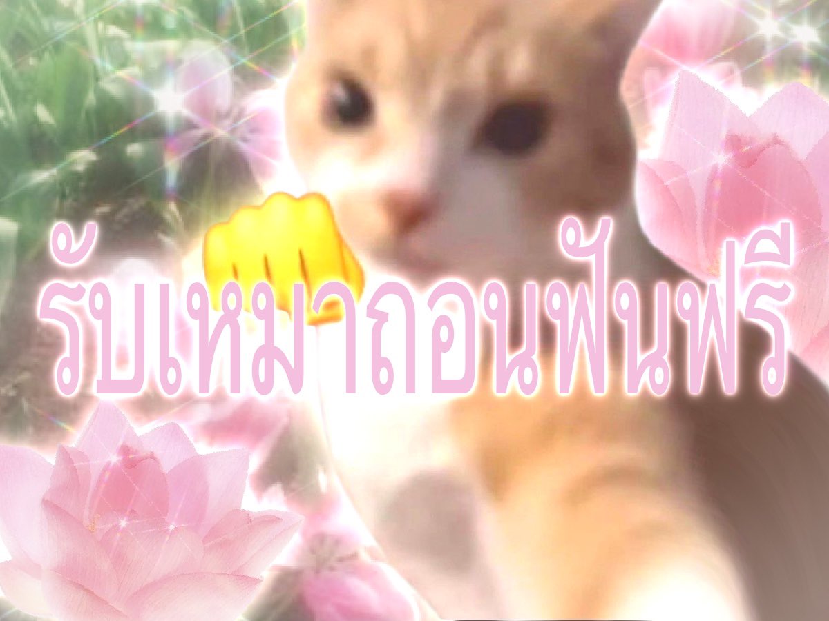 กาเบม tweet media
