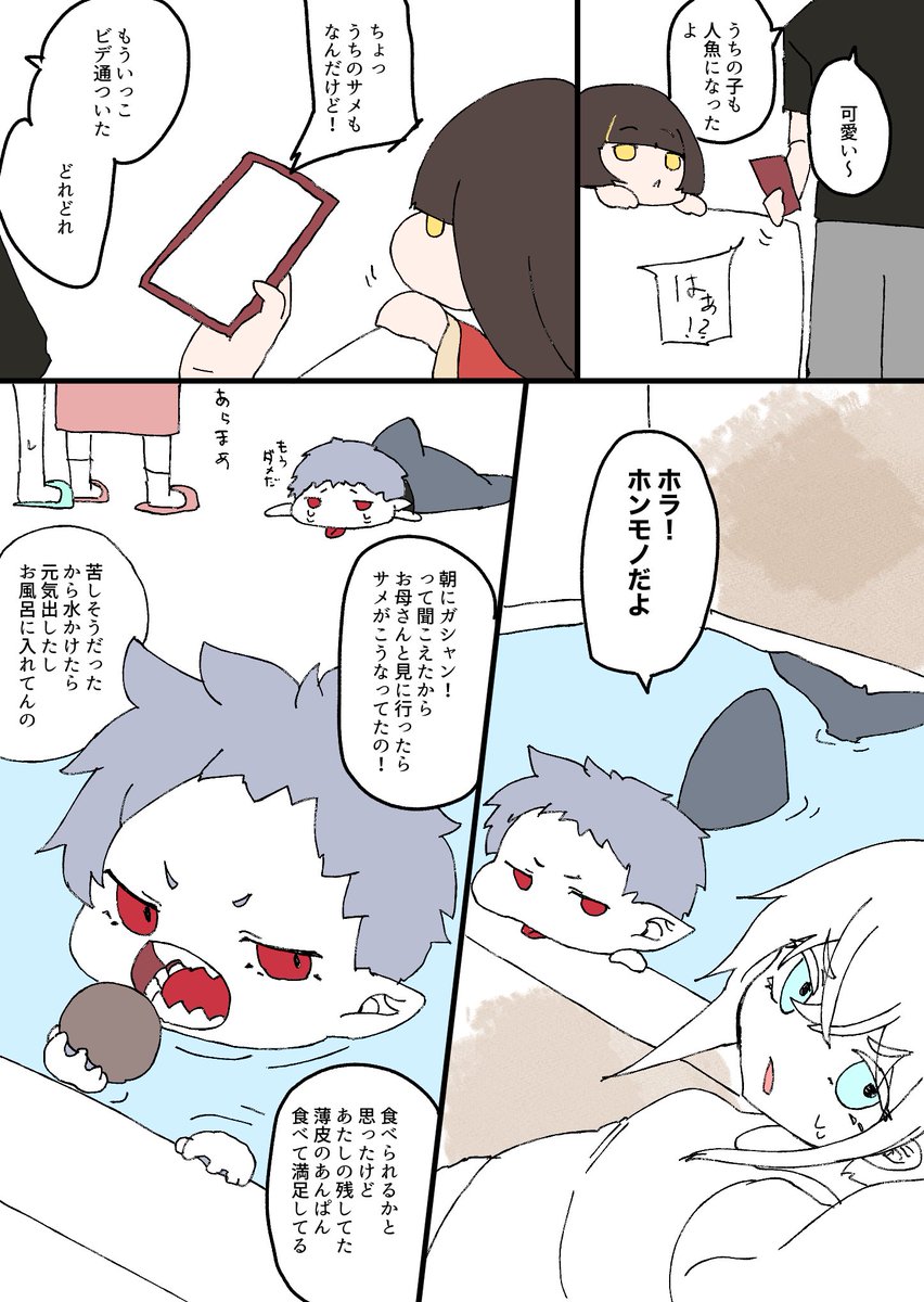 海◎屋 tweet media