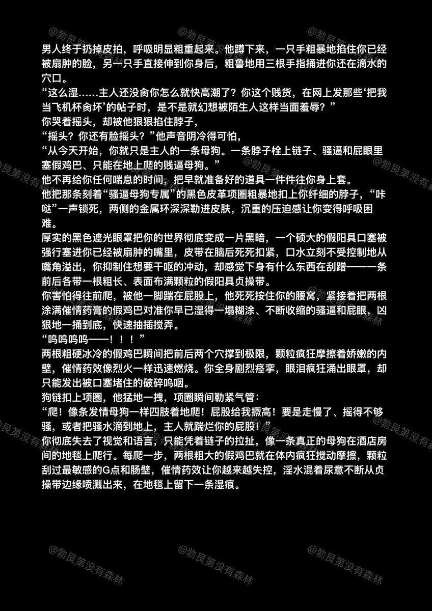 勃艮第没有森林 tweet media