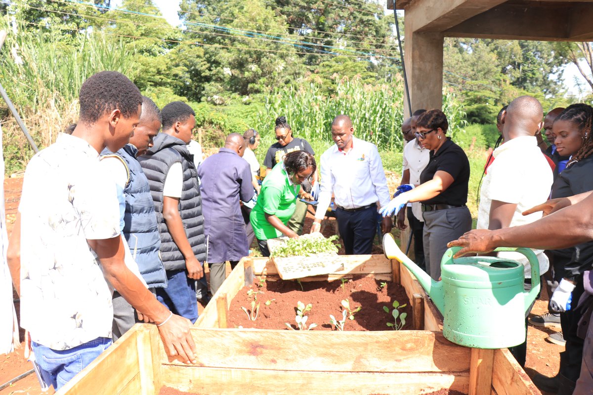 University of Embu tweet media