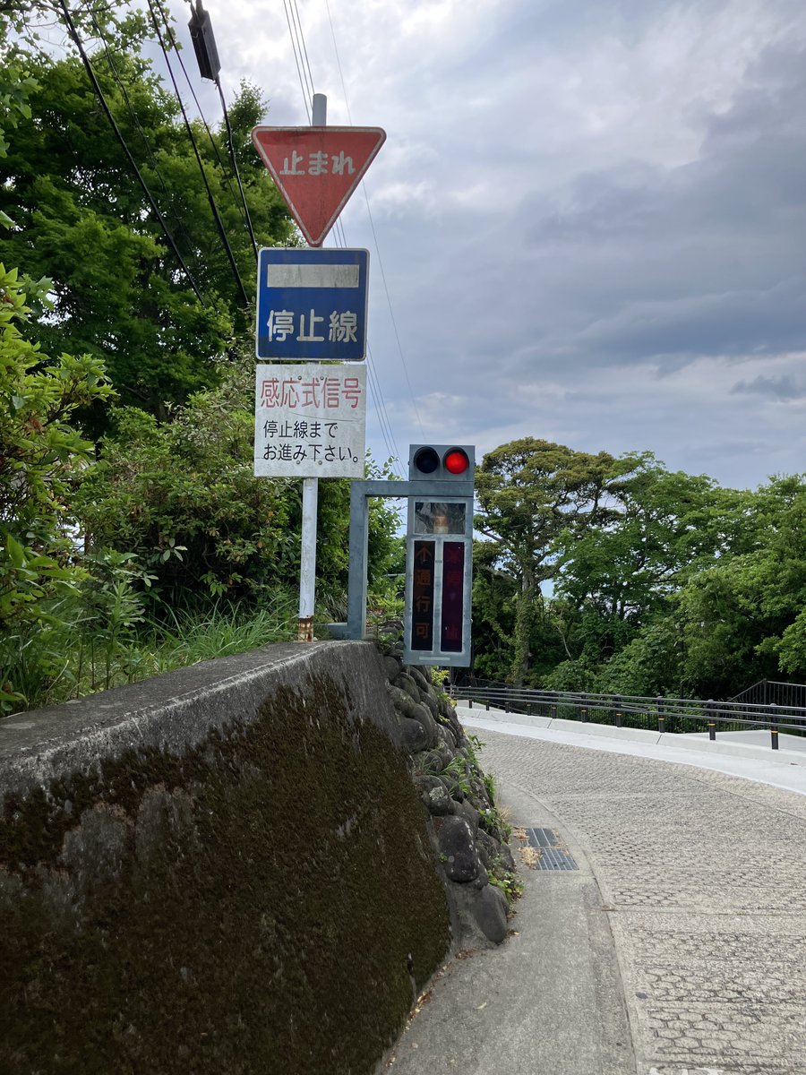 撮り信おジジ tweet media