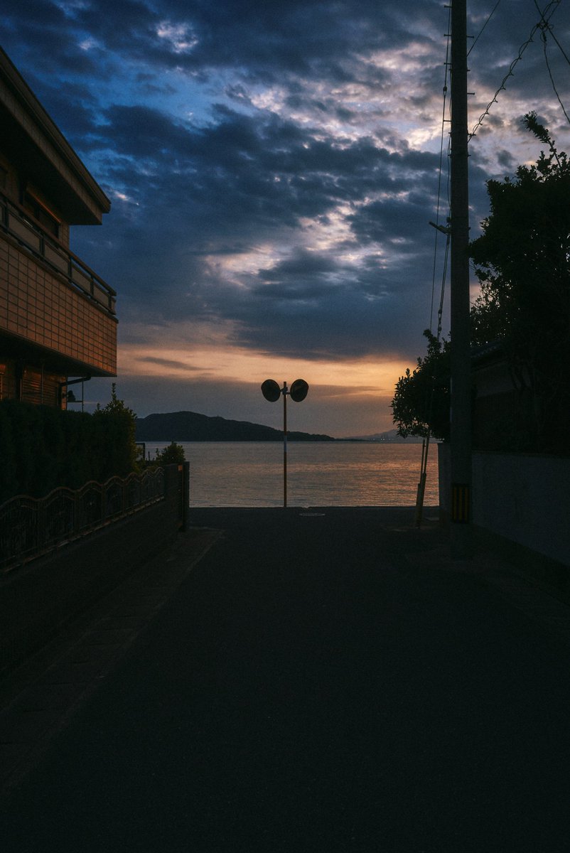 真道 健志 / Shindo Takeshi tweet media