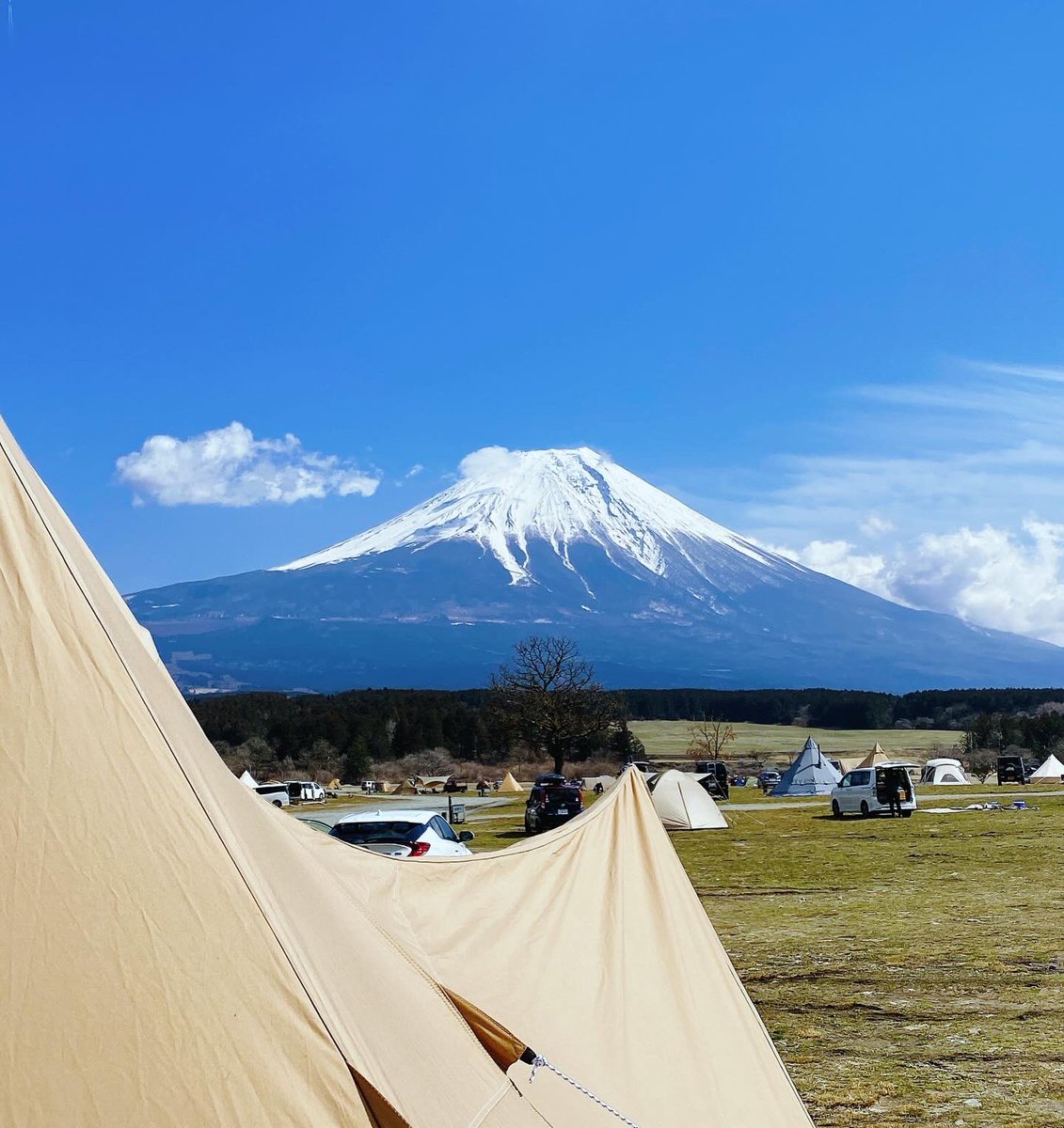 ⛺️『みいこキャンプ』/Miiko camp 😶 tweet media
