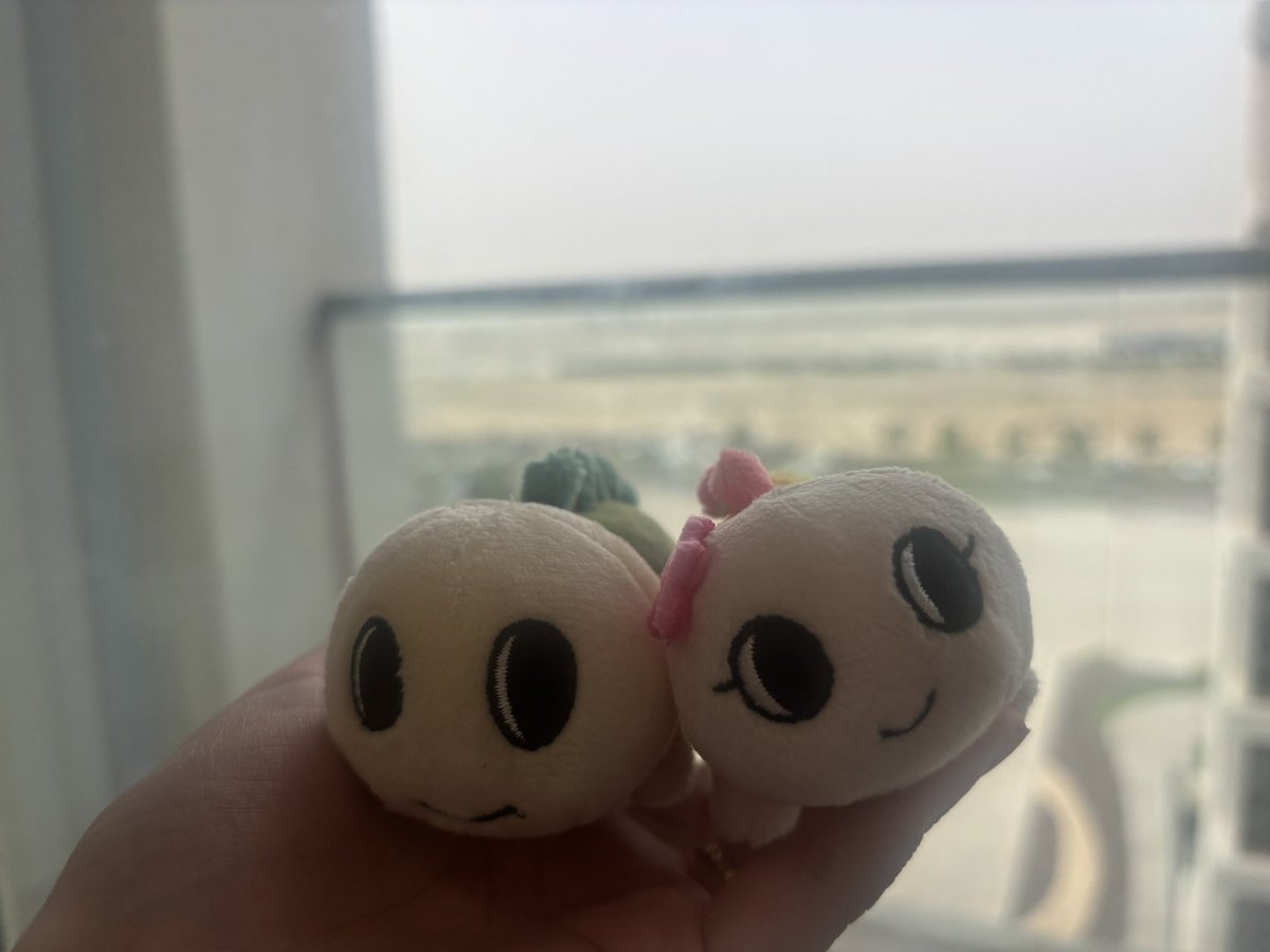アラブ在住なみすけ🇦🇪 tweet media