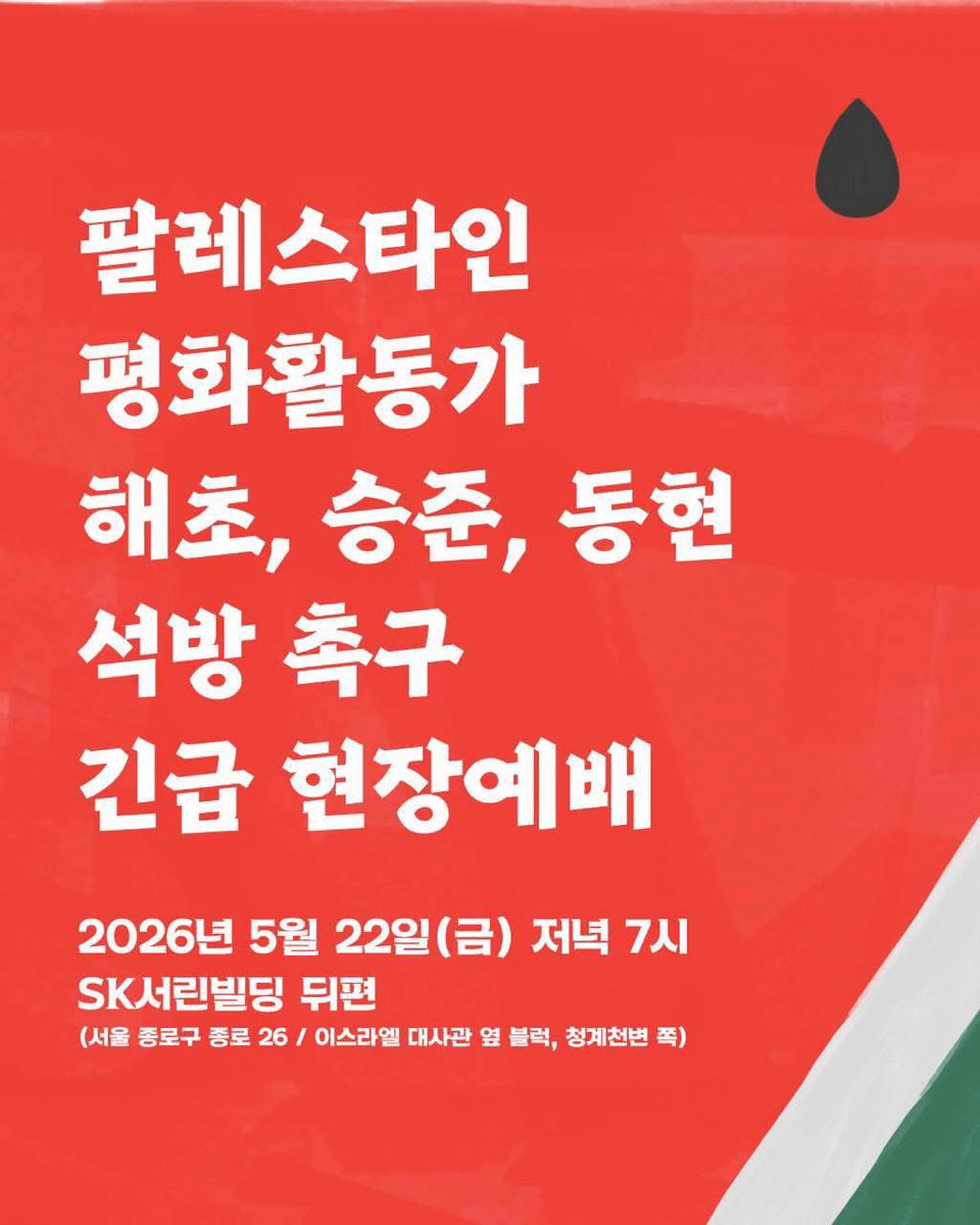 춤추는 해삼 tweet media