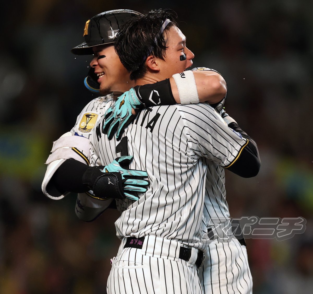 スポニチTIGERSフォト tweet media