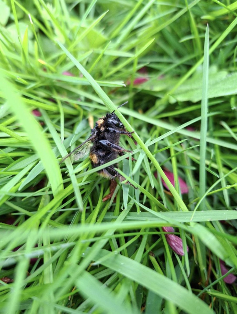 Ascerta | PCA Landscape tweet media
