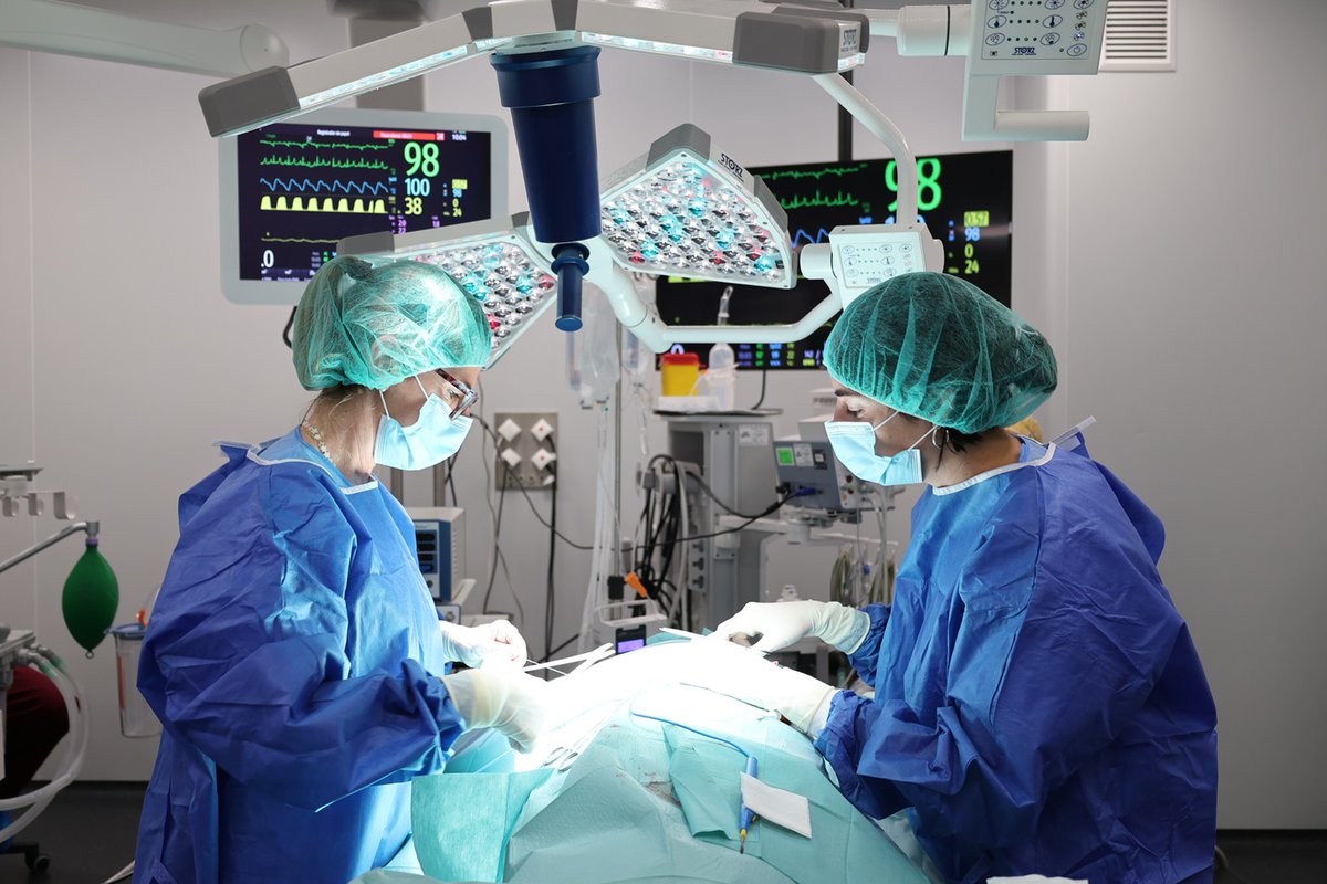 Biotech-Spain.com tweet media