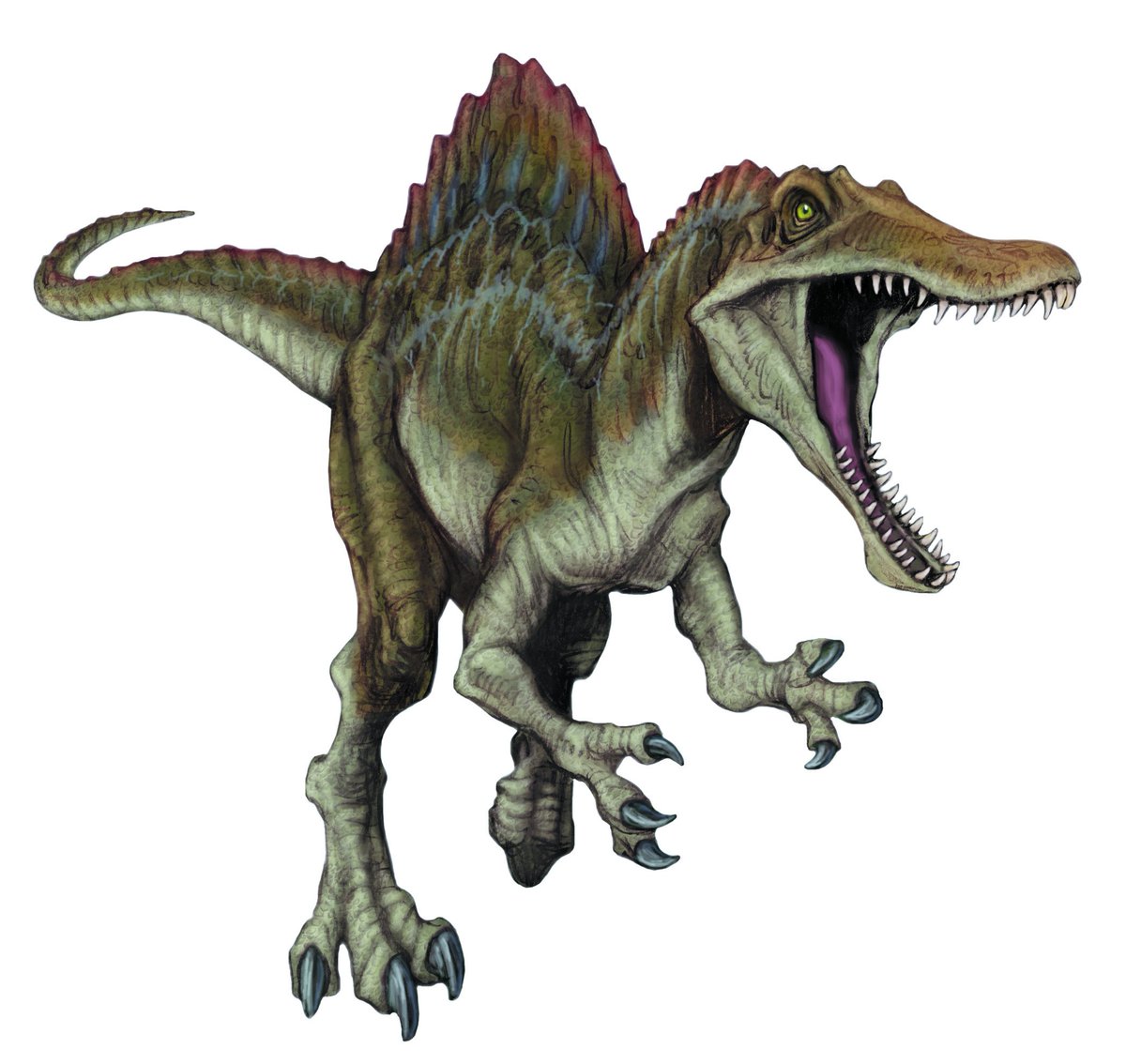 Jurassic Library tweet media