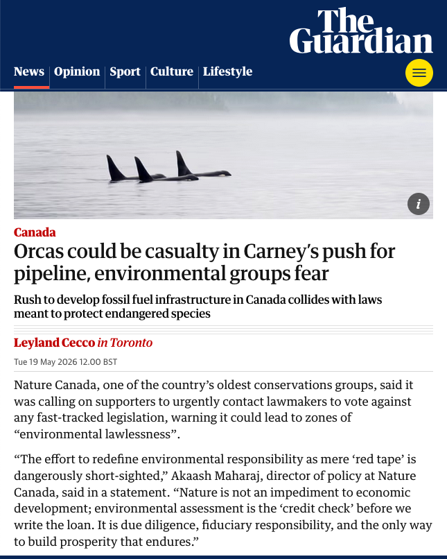 AkaashMaharaj's tweet photo. Canadians support faster environmental reviews.  We need businesses to receive prompt decisions on industrial proposals.

But as the @Guardian reports, the federal government plans to accelerate its reviews not by increasing its own efficiencies, but by lowering public standards.

Its plans would create “Federal Economic Zones” where established nature protections would not apply, and they would empower Ministers to allow businesses to wipe out endangered species.

We can not build our economy by laying waste to our country.

📰 https://t.co/OcwlYCsaqj