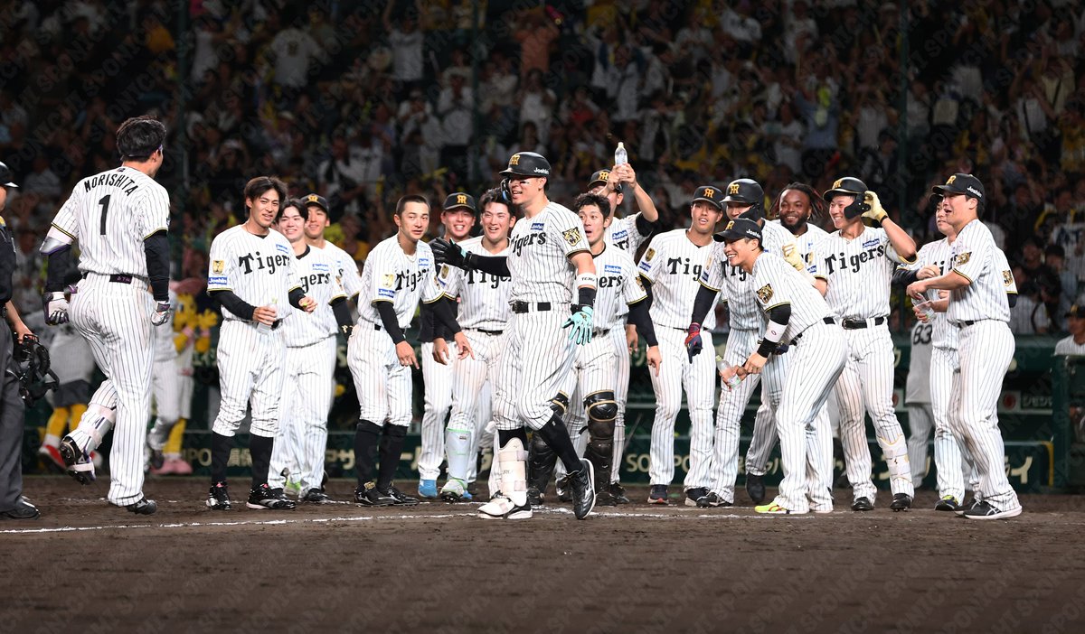 スポニチTIGERSフォト tweet media