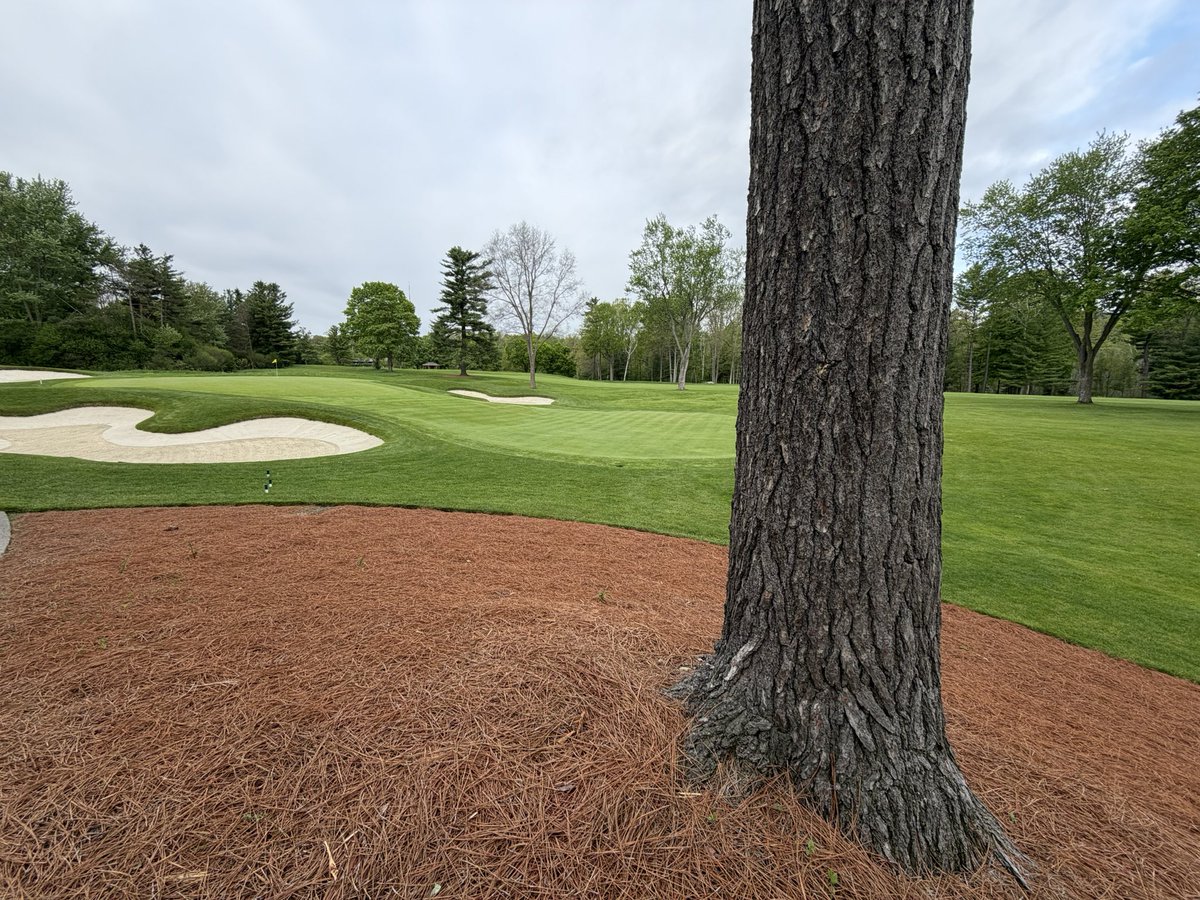 LHCC Grounds tweet media
