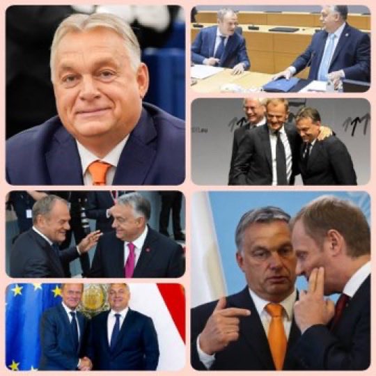 Grzegorz tweet media