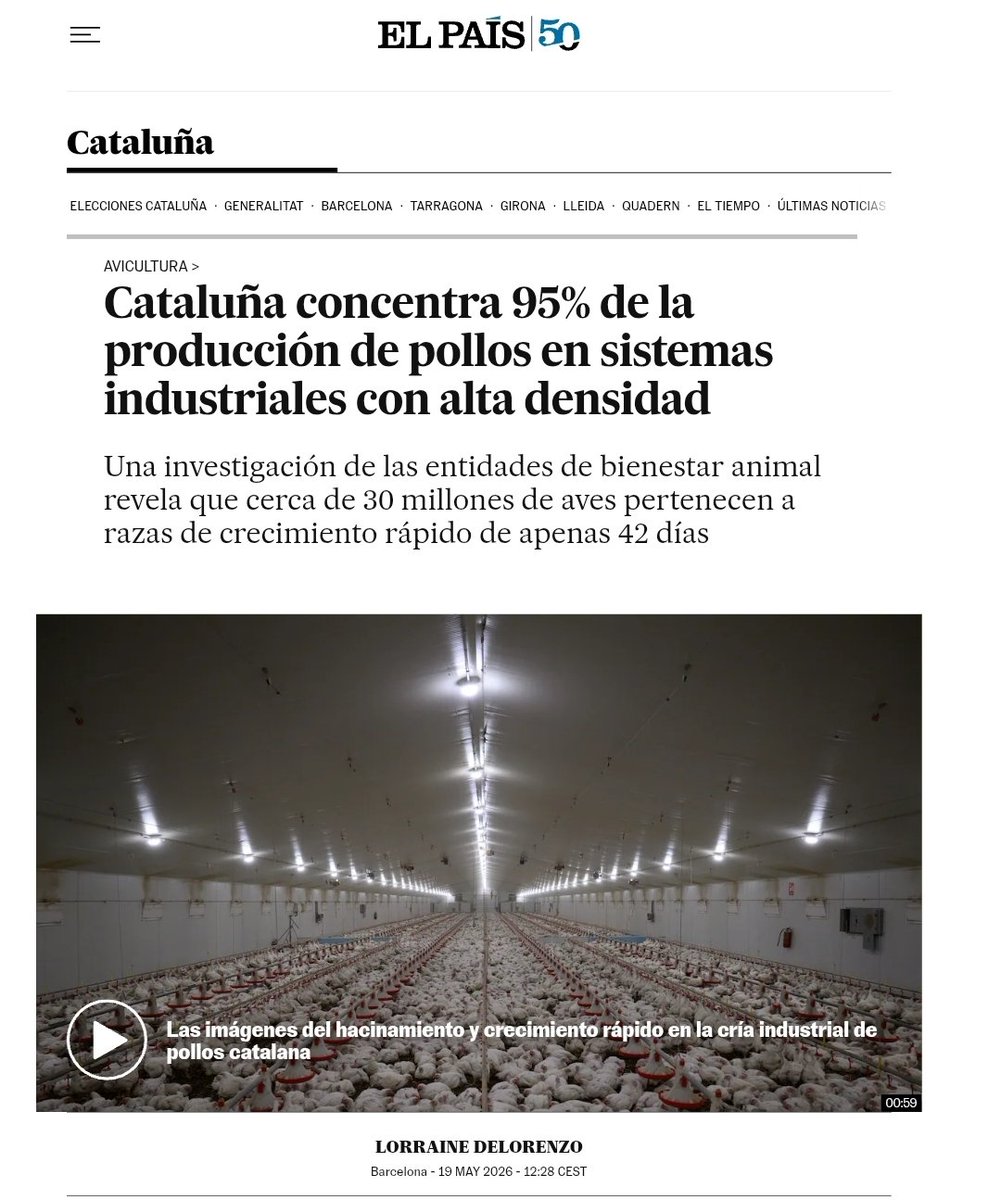 AnimaNaturalis tweet media