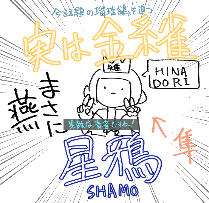 鷹匠 tweet media