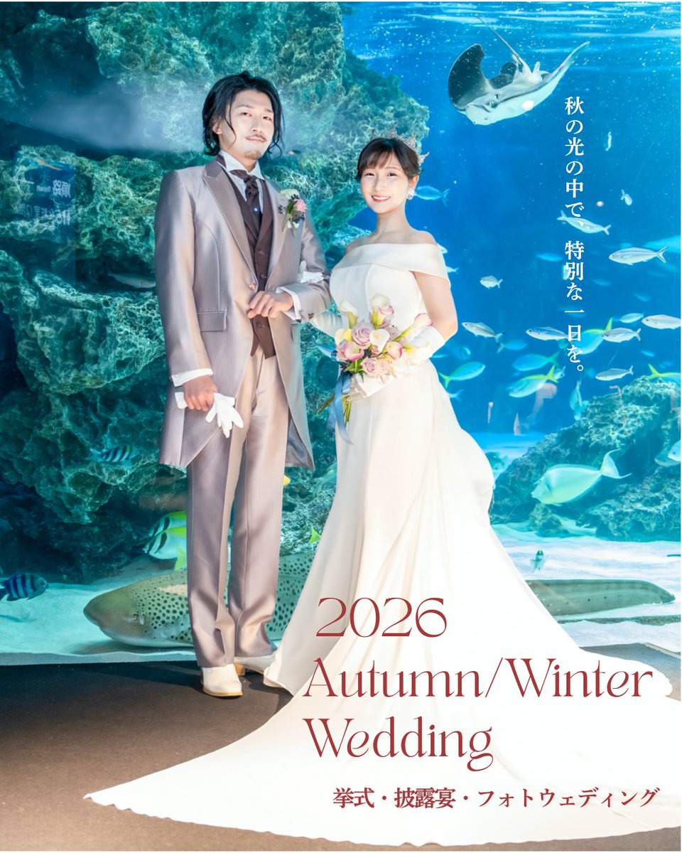 Sunshine_Aqua's tweet photo. 💐水族館貸切ブライダル
澄んだ光と海に包まれる幻想的なウエディングを。
水槽前で叶える挙式パーティ・フォト体験で、心に残る特別な一日をお届けします。
2026年秋/冬婚受付中。
水族館見学＆相談会付きフェア開催中✨
https://t.co/iKo6JgG2PJ
@sky_bridal https://t.co/jTfMJmr1cV